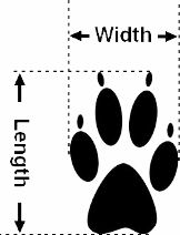 dog shoes measurment chart