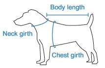 dog size