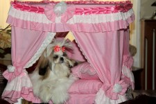 zc-dogbows-bed-pink-palace-e