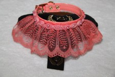 zc-dogbows-collar-m-280