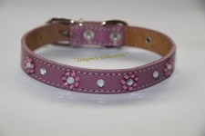 zc-dogbows-collar-m-284