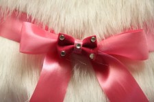 zc-dogbows-glam-cloth-r-303-a