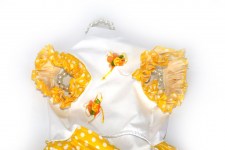 zc-dogbows-glam-cloth-r-405-b5